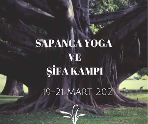 sapanca yoga kampı